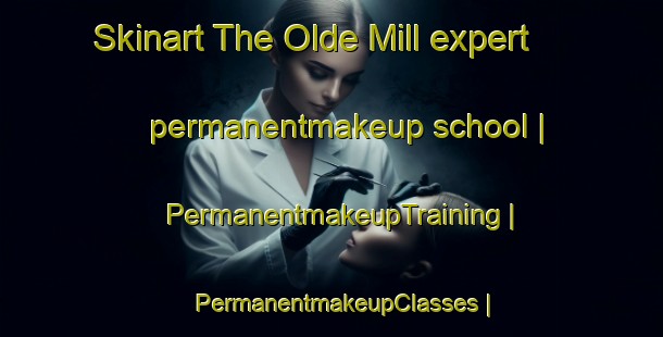 Skinart The Olde Mill expert permanentmakeup school | PermanentmakeupTraining | PermanentmakeupClasses | SkinartTraining-United States